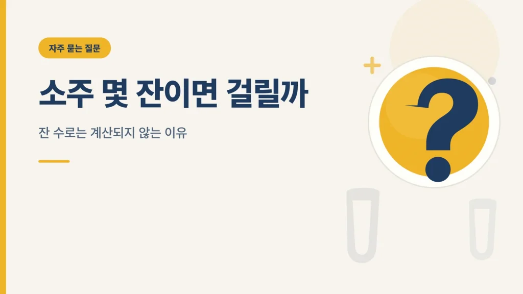 소주 몇 잔이면 음주운전 수치가 나올까 썸네일